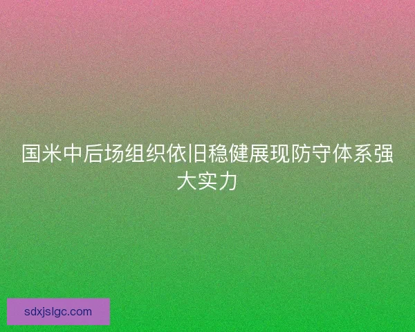 国米中后场组织依旧稳健展现防守体系强大实力